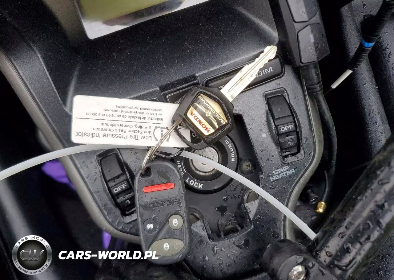 2010 Honda Gl1800 VIN:1HFSC47G4AA903358 - 8