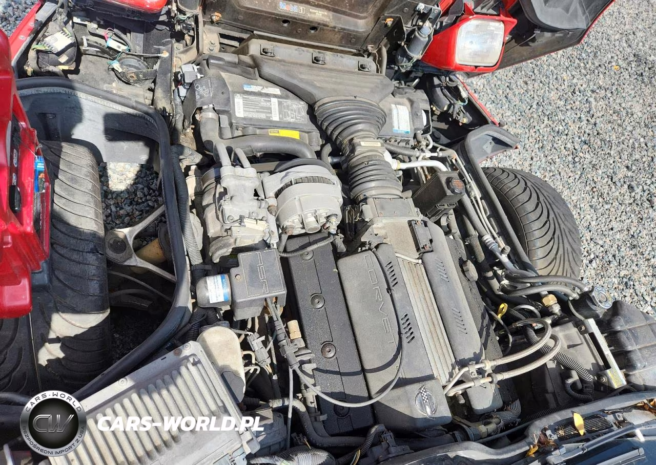 1995 Chevrolet Corvette VIN:1G1YY22P0S5103693 - 11