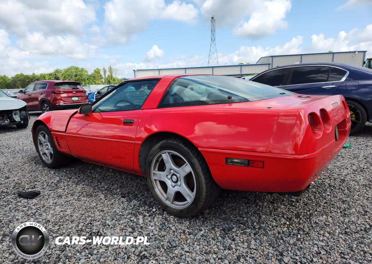 1995 Chevrolet Corvette VIN:1G1YY22P0S5103693 - 2