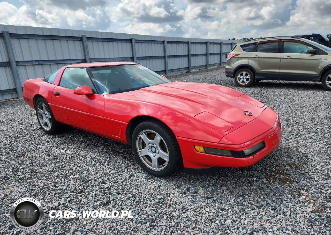1995 Chevrolet Corvette VIN:1G1YY22P0S5103693 - 4