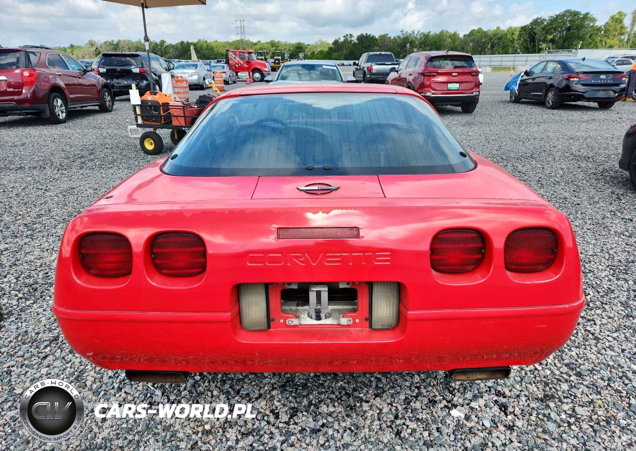 1995 Chevrolet Corvette VIN:1G1YY22P0S5103693 - 6