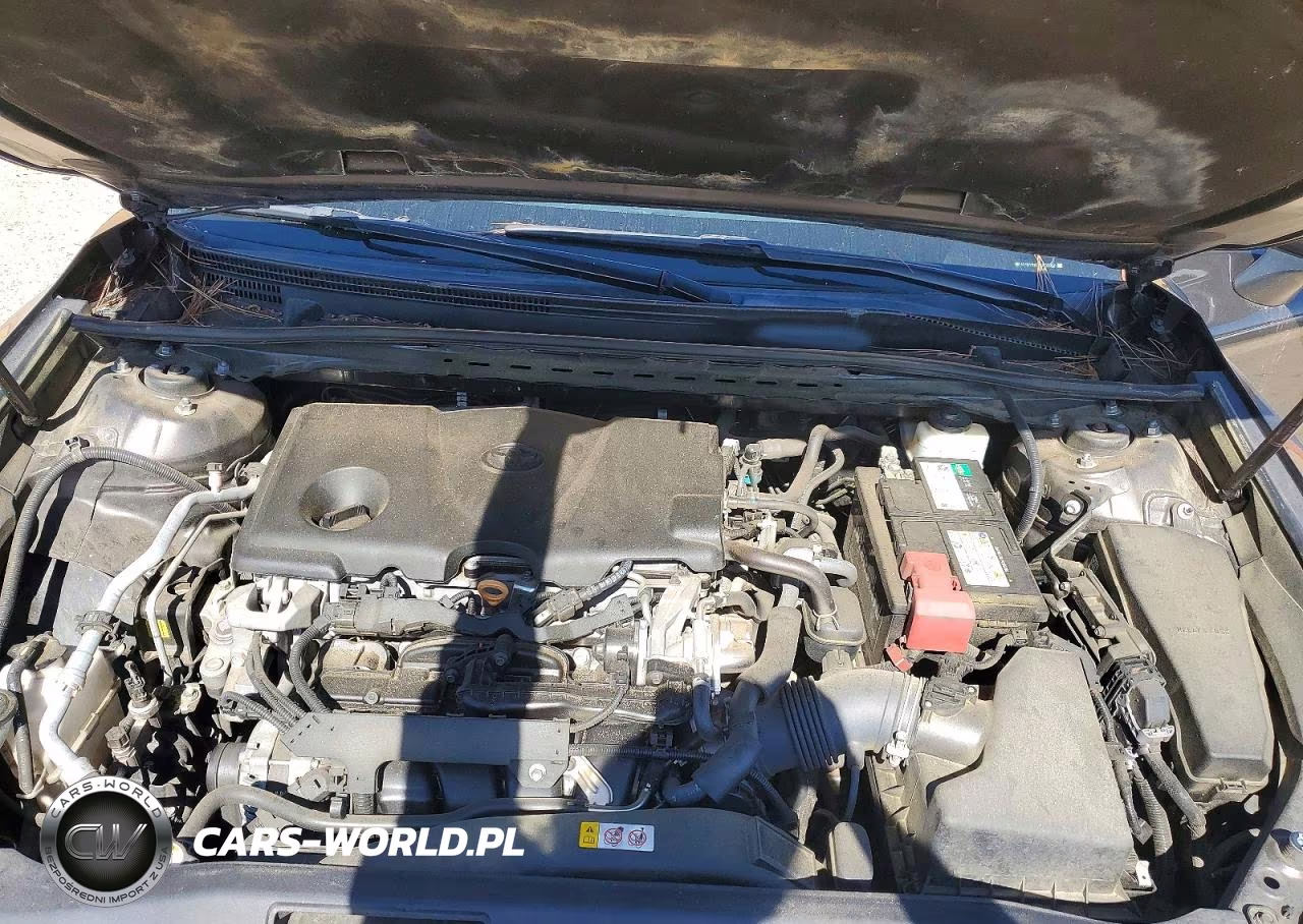 2019 Toyota Camry Le VIN:4T1B11HK5KU732357 - 11