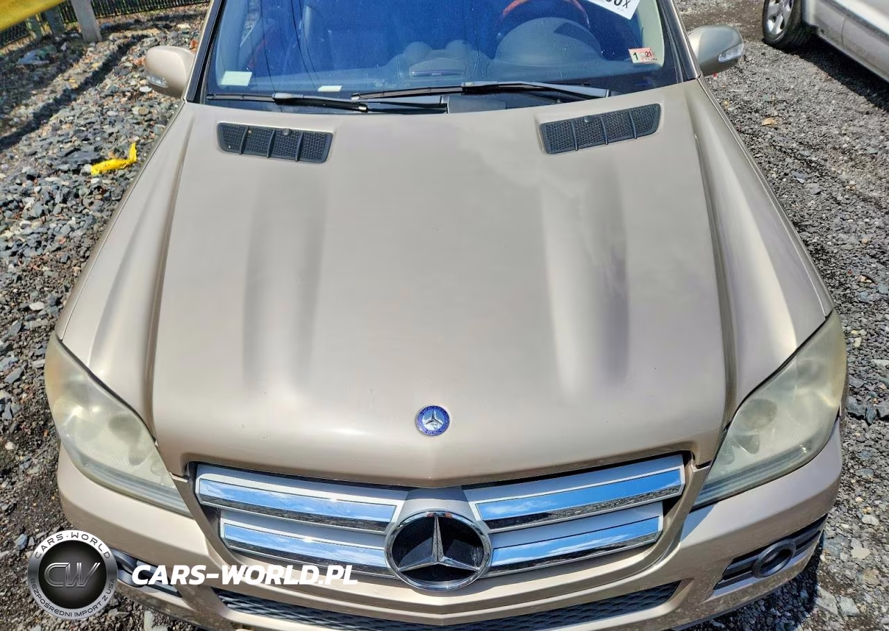 2007 Mercedes-Benz Gl 450 4Matic VIN:4JGBF71E37A122216 - 12