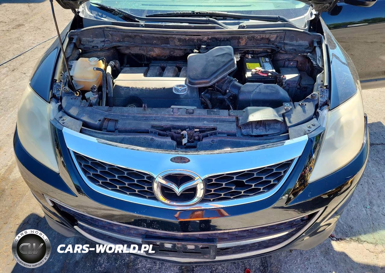 2010 Mazda Cx-9 VIN:JM3TB3MV9A0236105 - 12