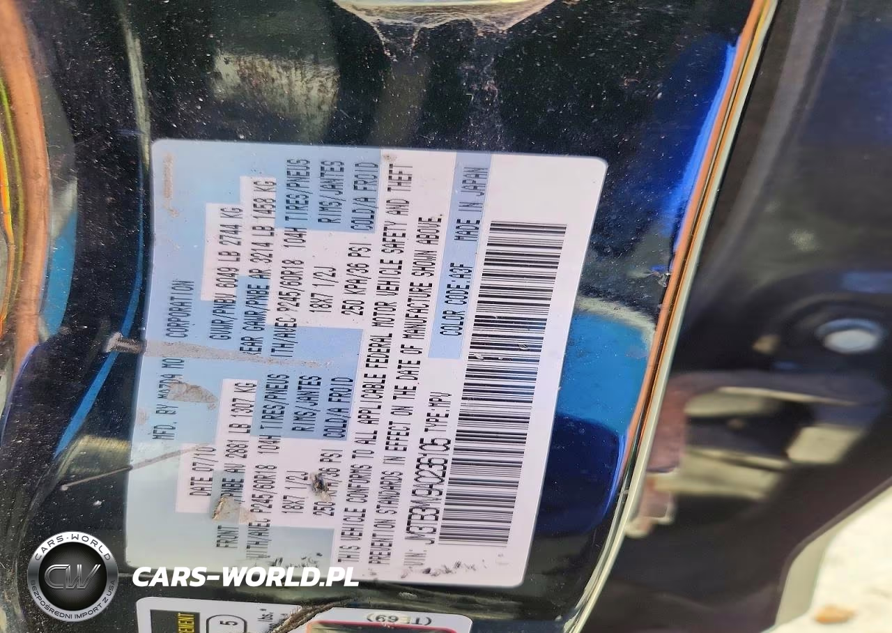 2010 Mazda Cx-9 VIN:JM3TB3MV9A0236105 - 13