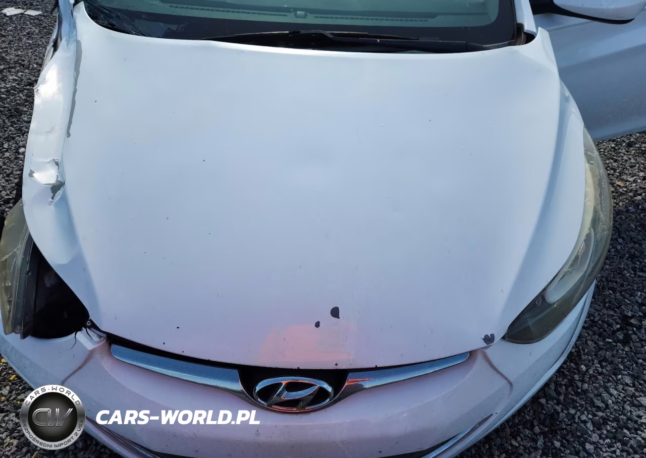 2015 Hyundai Elantra Se VIN:5NPDH4AE8FH643638 - 11
