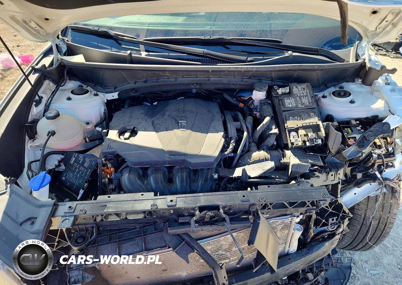 2023 Hyundai Tucson Limited VIN:5NMJECAE8PH205643 - 12