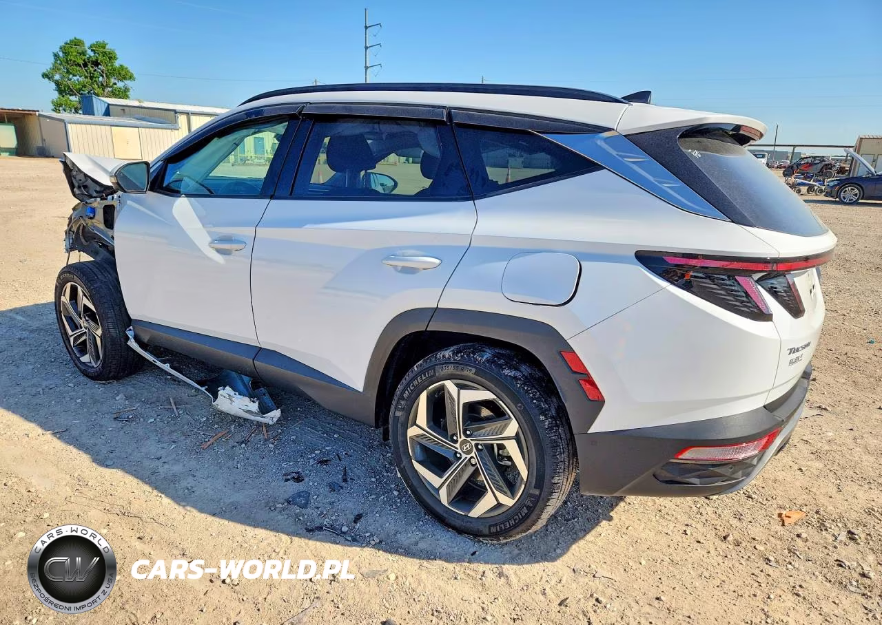 2023 Hyundai Tucson Limited VIN:5NMJECAE8PH205643 - 2
