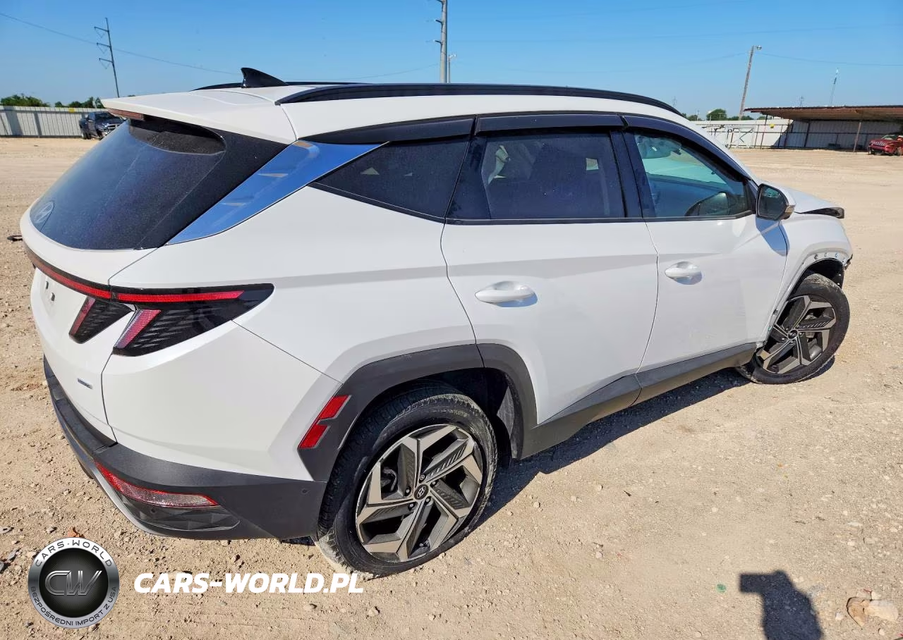 2023 Hyundai Tucson Limited VIN:5NMJECAE8PH205643 - 3