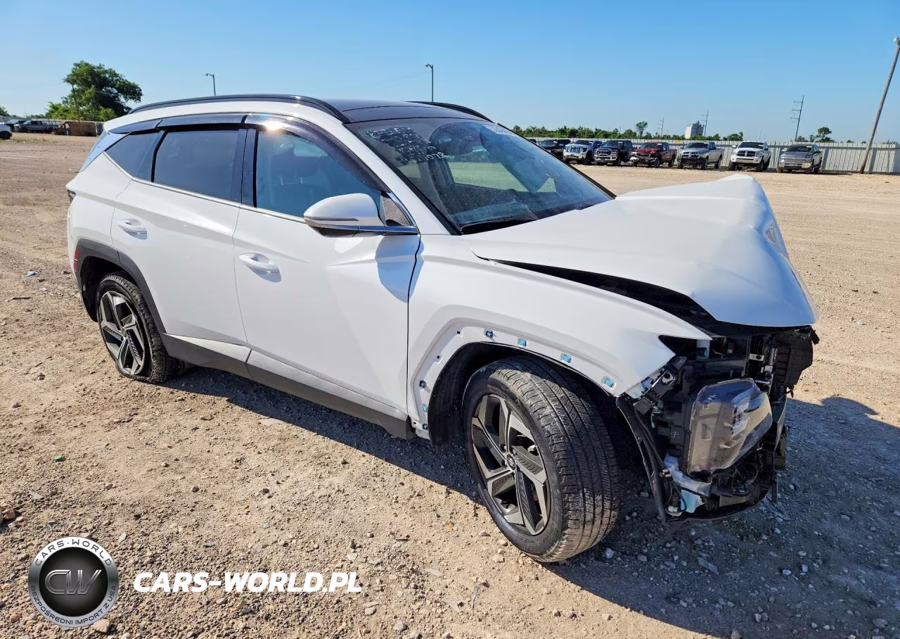 2023 Hyundai Tucson Limited VIN:5NMJECAE8PH205643 - 4