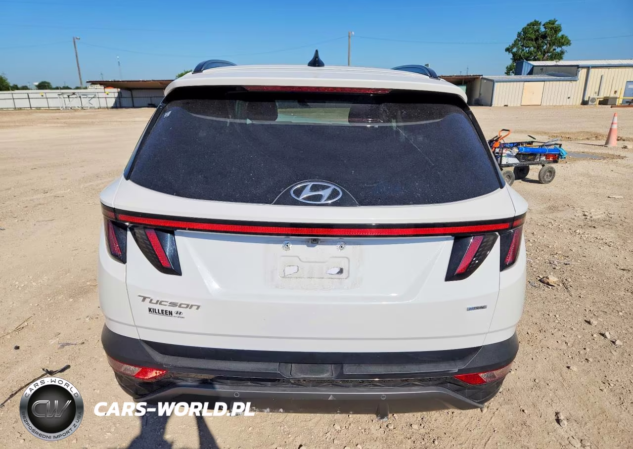 2023 Hyundai Tucson Limited VIN:5NMJECAE8PH205643 - 6