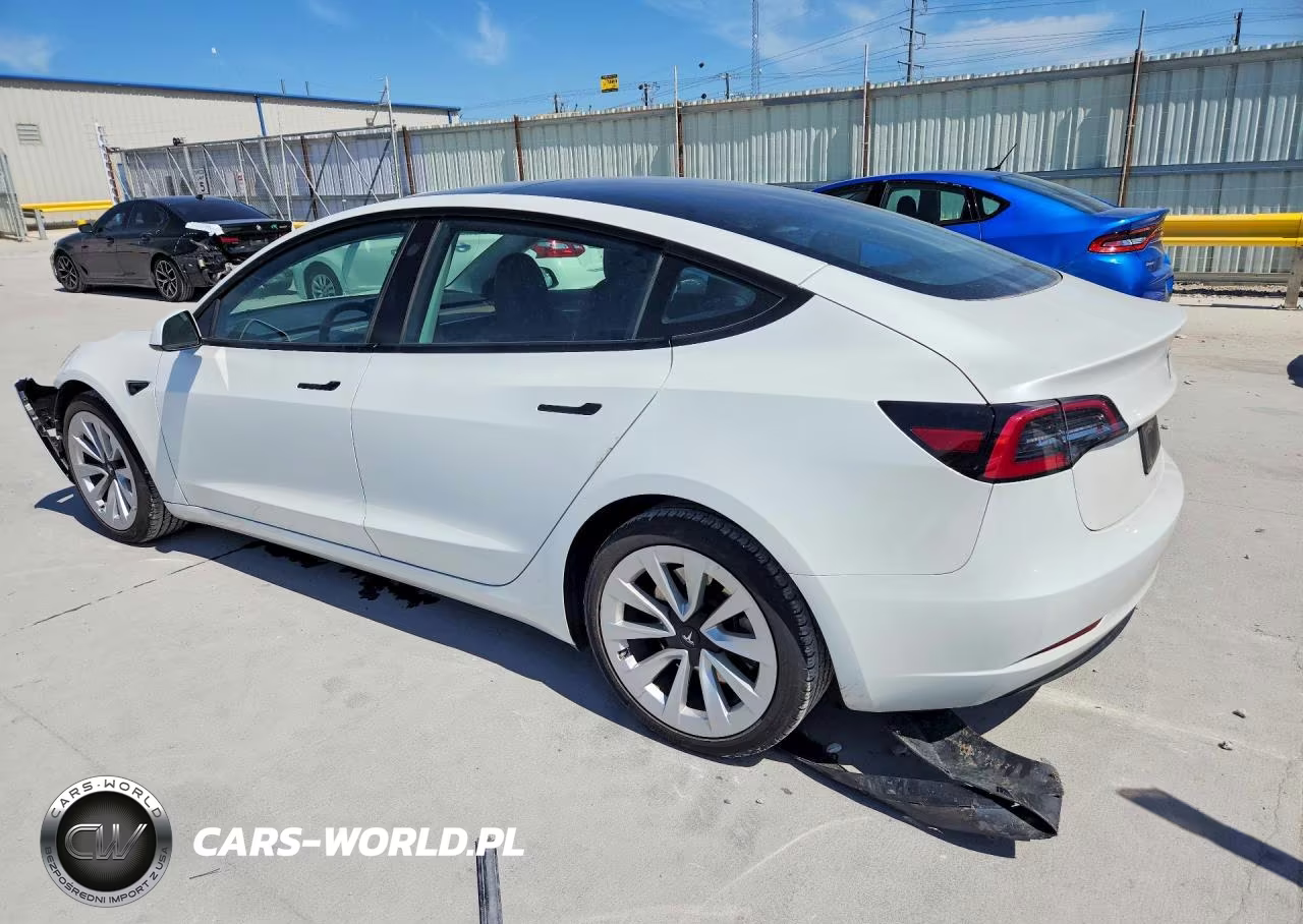 2023 Tesla Model 3 VIN:5YJ3E1EA1PF573202 - 2