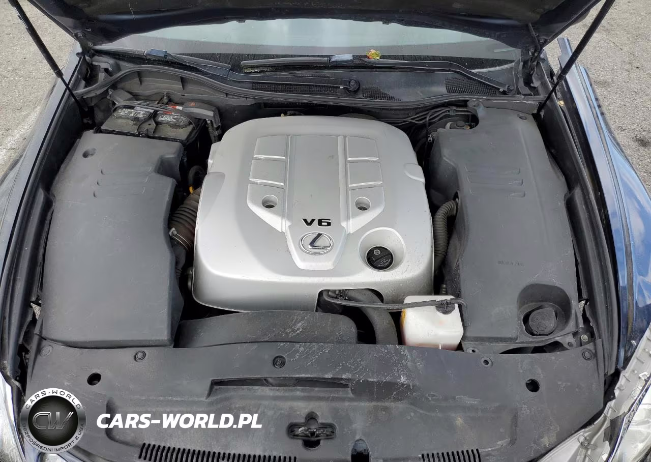 2006 Lexus Gs 300 VIN:JTHBH96S065014294 - 11