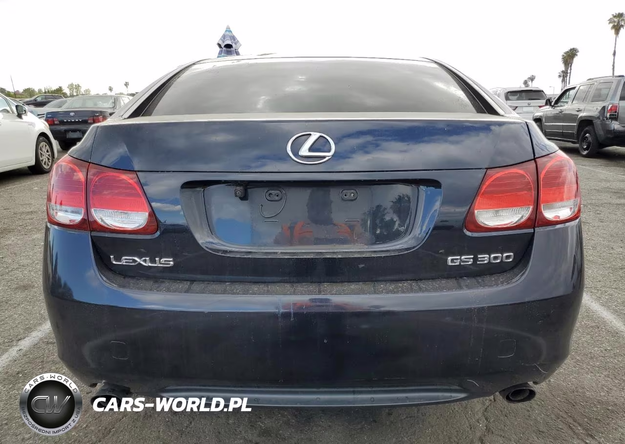 2006 Lexus Gs 300 VIN:JTHBH96S065014294 - 6