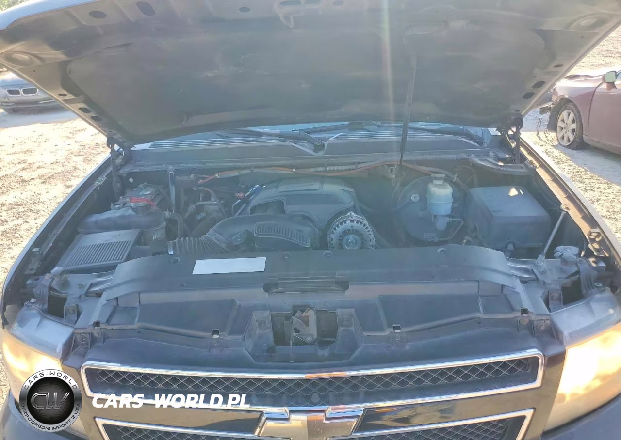 2009 Chevrolet Tahoe C1500 Ls VIN:1GNFC13C09R299664 - 12