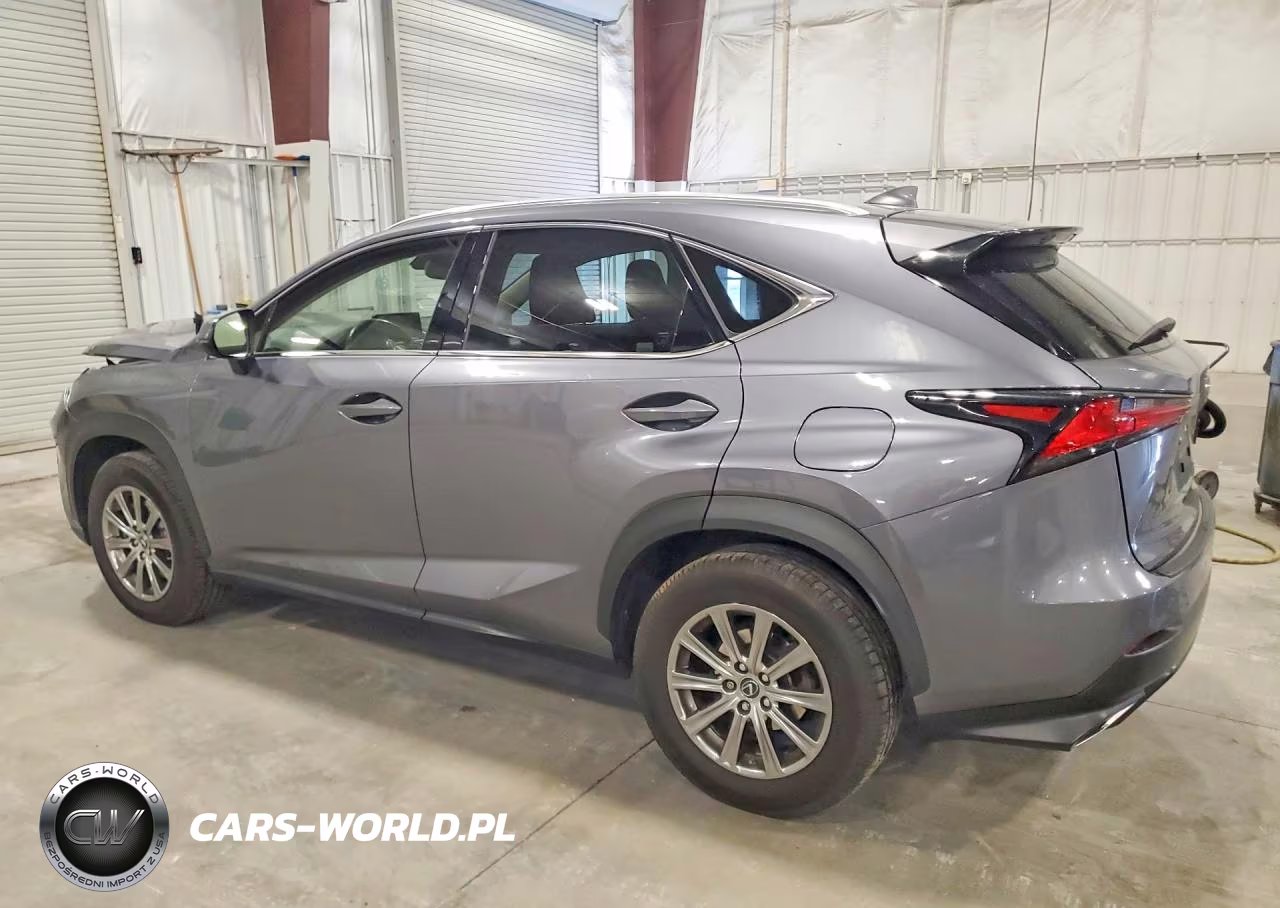 2020 Lexus Nx 300 VIN:JTJDARDZ7L2225100 - 2