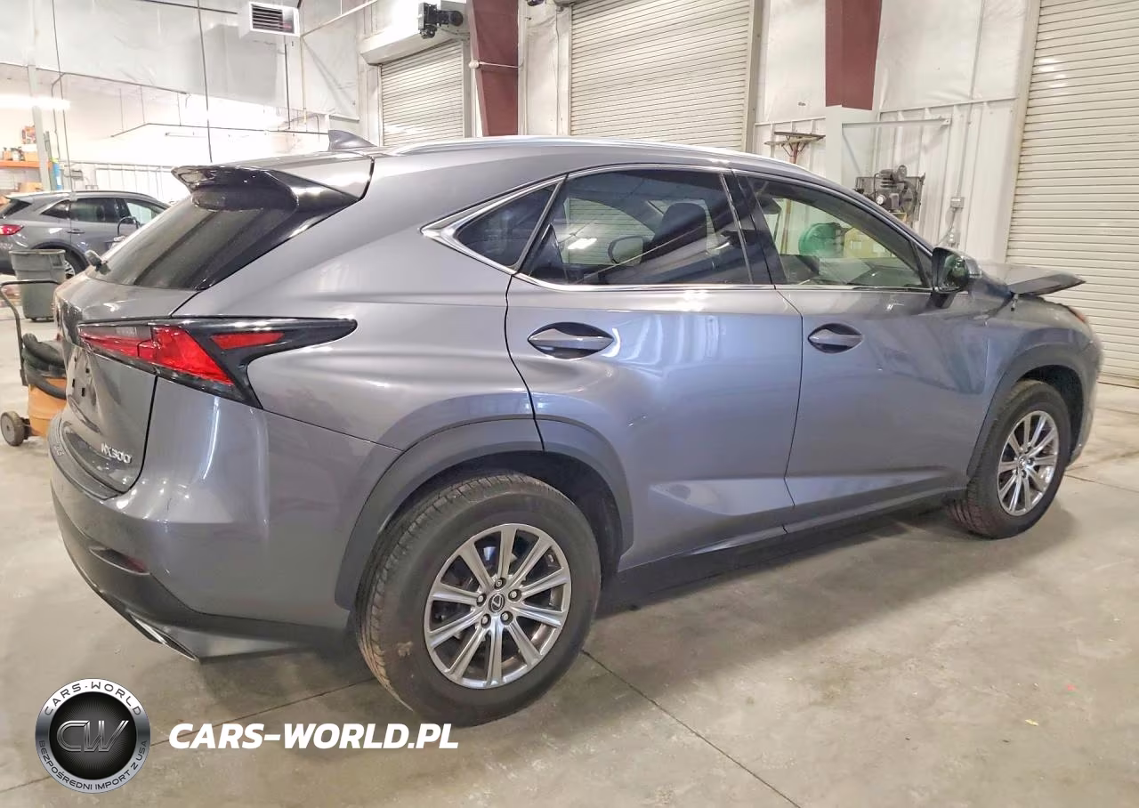 2020 Lexus Nx 300 VIN:JTJDARDZ7L2225100 - 3
