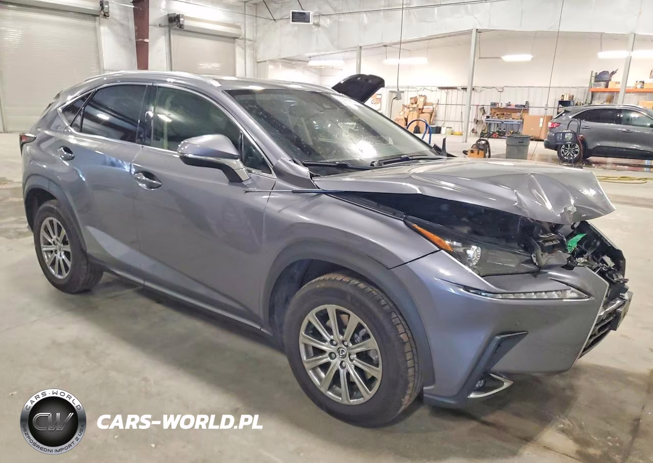 2020 Lexus Nx 300 VIN:JTJDARDZ7L2225100 - 4