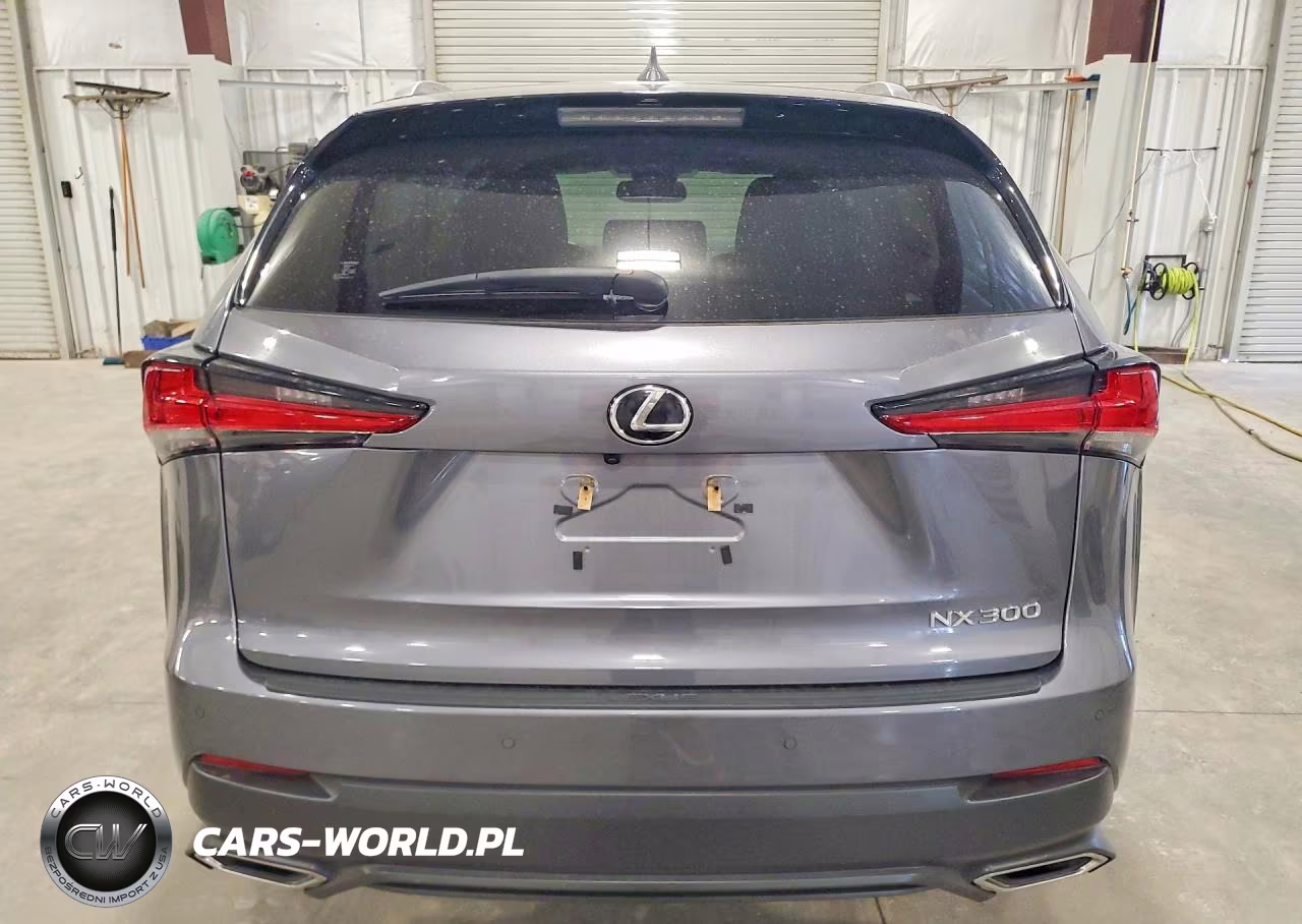 2020 Lexus Nx 300 VIN:JTJDARDZ7L2225100 - 6