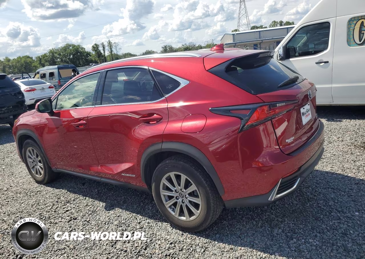 2020 Lexus Nx 300H VIN:JTJDJRDZ7L5008614 - 2