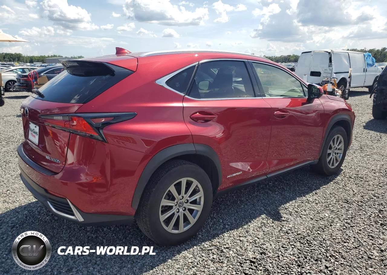 2020 Lexus Nx 300H VIN:JTJDJRDZ7L5008614 - 3