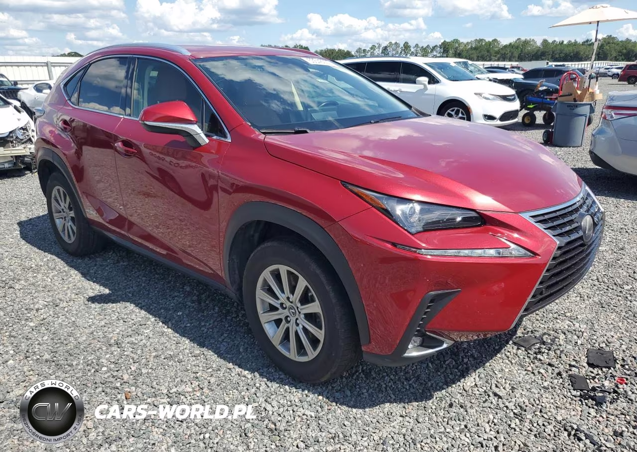 2020 Lexus Nx 300H VIN:JTJDJRDZ7L5008614 - 4