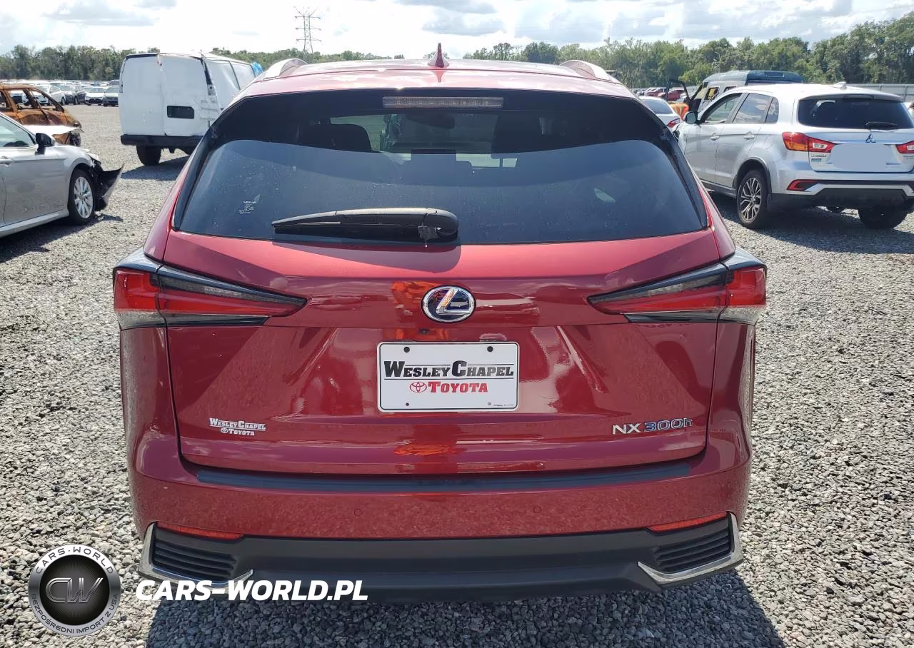 2020 Lexus Nx 300H VIN:JTJDJRDZ7L5008614 - 6
