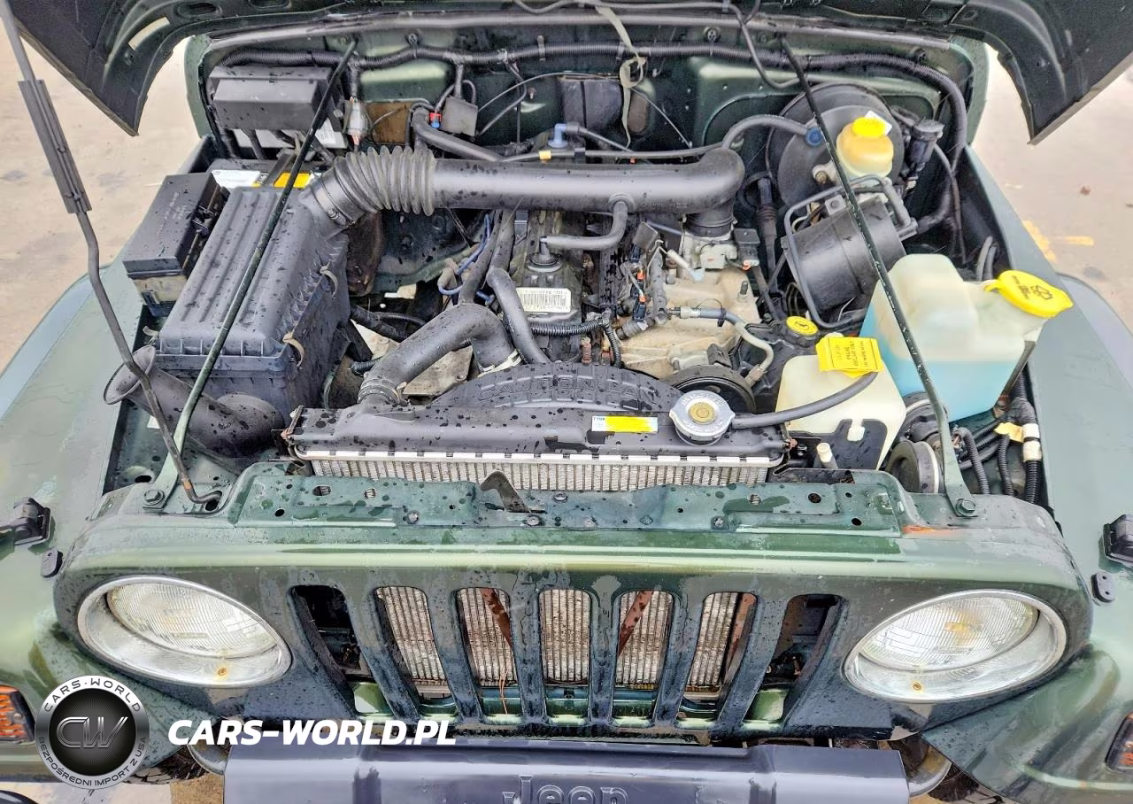 1997 Jeep Wrangler - Tj Sport VIN:1J4FY19S9VP426579 - 12
