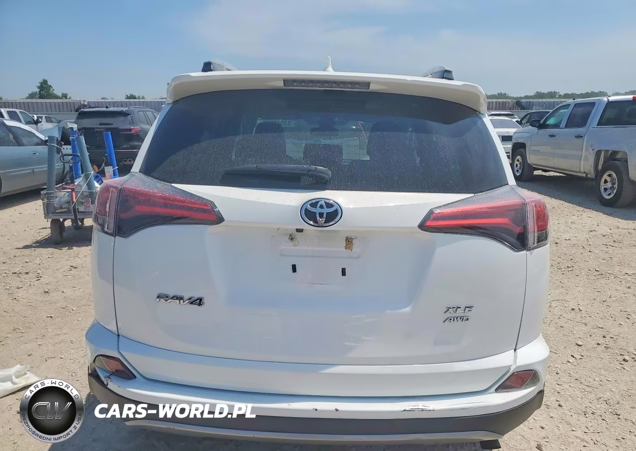 2017 Toyota Rav4 Xle VIN:2T3RFREV6HW666382 - 6