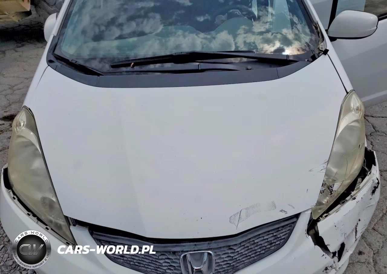 2009 Honda Fit Sport VIN:JHMGE88499S004229 - 11