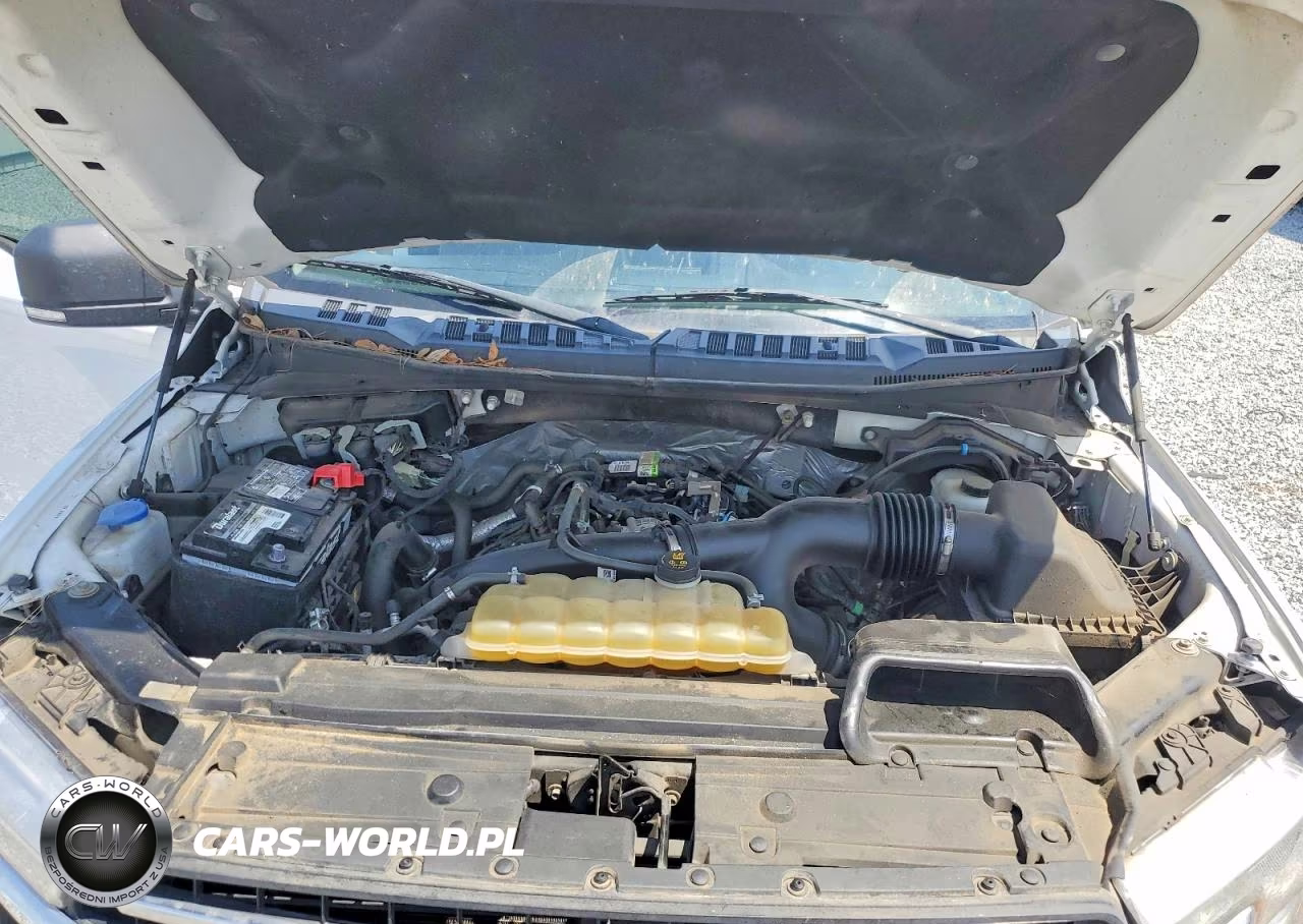 2020 Ford F150 Supercrew VIN:1FTEW1EP1LKE45792 - 11