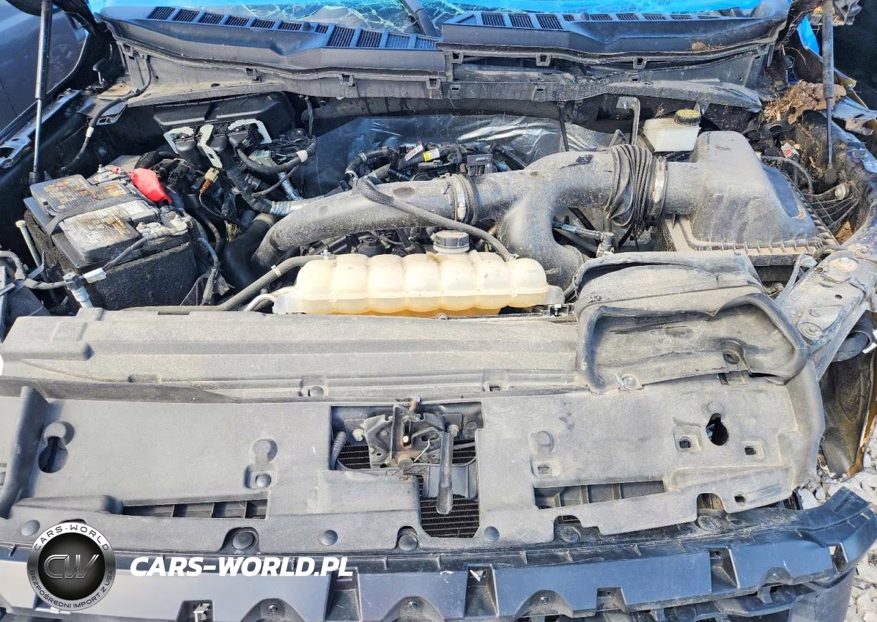 2024 Ford F150 Stx VIN:1FTEX2KP5RKD35392 - 11