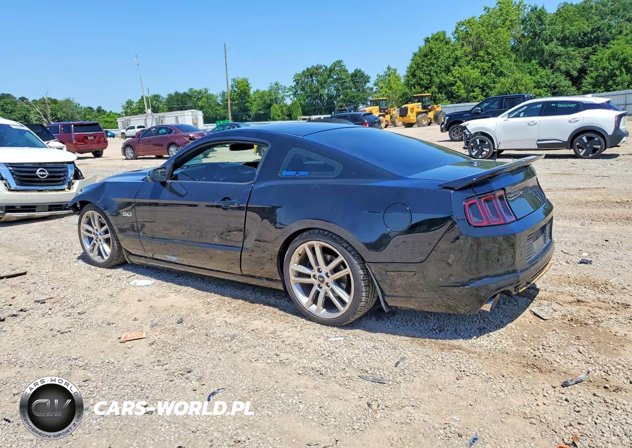 2014 Ford Mustang Gt VIN:1ZVBP8CF1E5330031 - 2