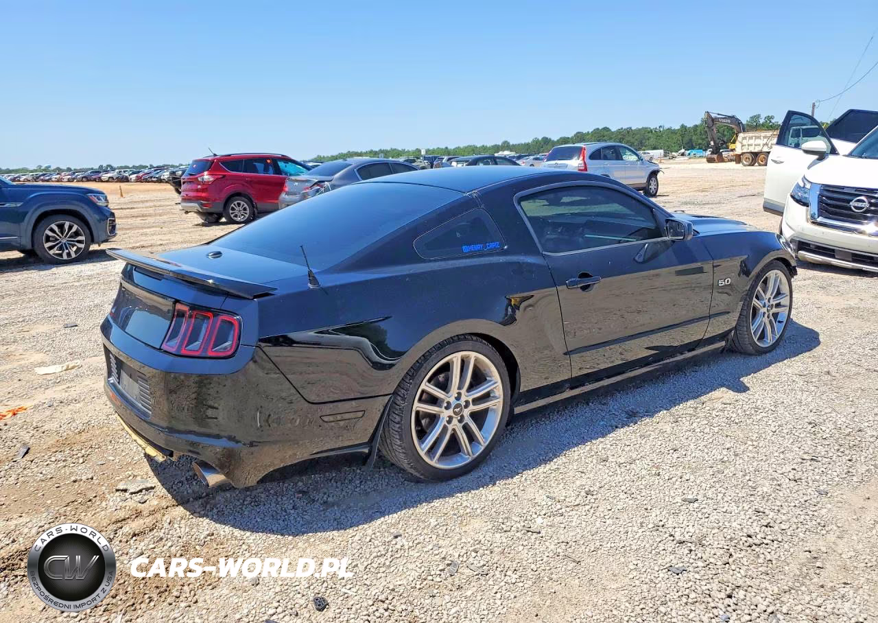 2014 Ford Mustang Gt VIN:1ZVBP8CF1E5330031 - 3