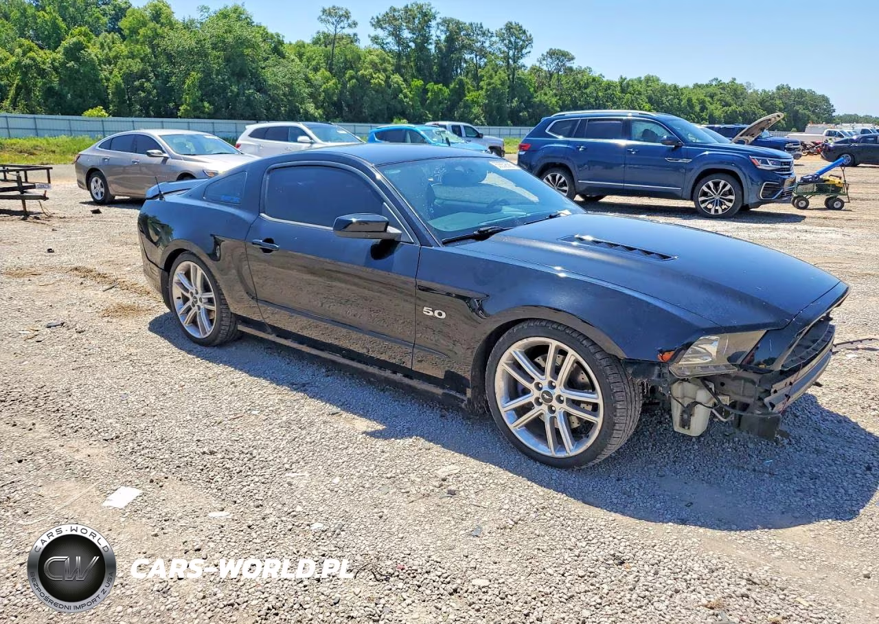 2014 Ford Mustang Gt VIN:1ZVBP8CF1E5330031 - 4