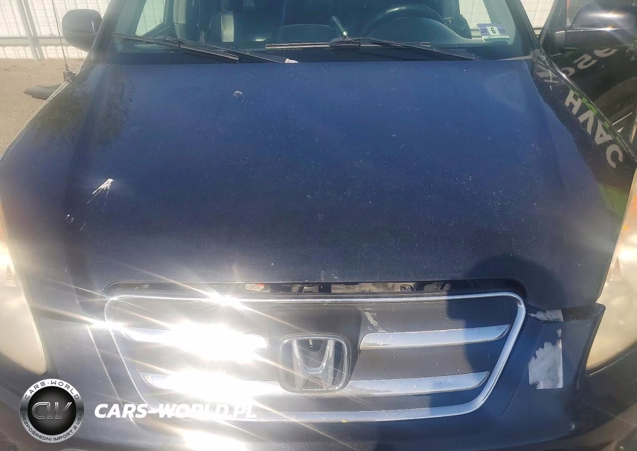 2005 Honda Cr-V Se VIN:JHLRD789X5C004766 - 12