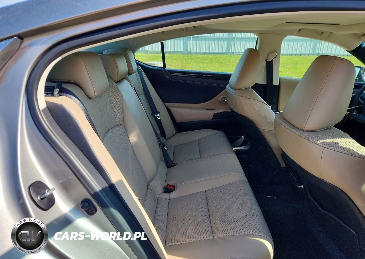 2021 Lexus Es 250 Base VIN:58AD11D18MU007627 - 10