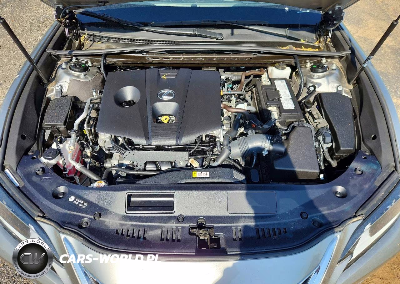 2021 Lexus Es 250 Base VIN:58AD11D18MU007627 - 11