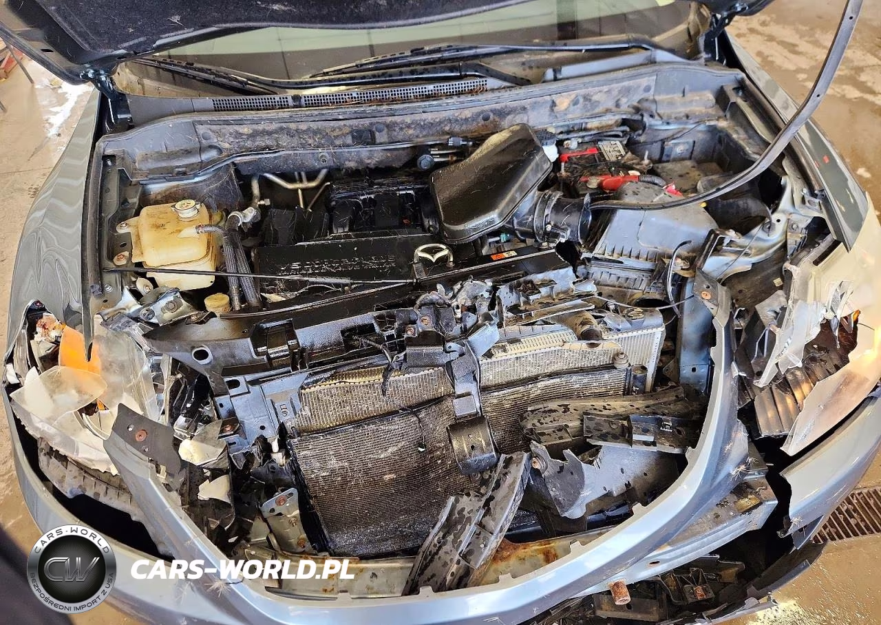 2012 Mazda Cx-9 VIN:JM3TB3CA1C0355025 - 12
