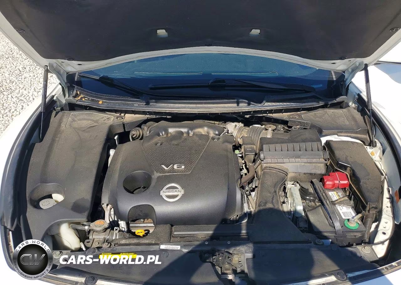 2009 Nissan Maxima 3.5 S VIN:1N4AA51E49C843211 - 11
