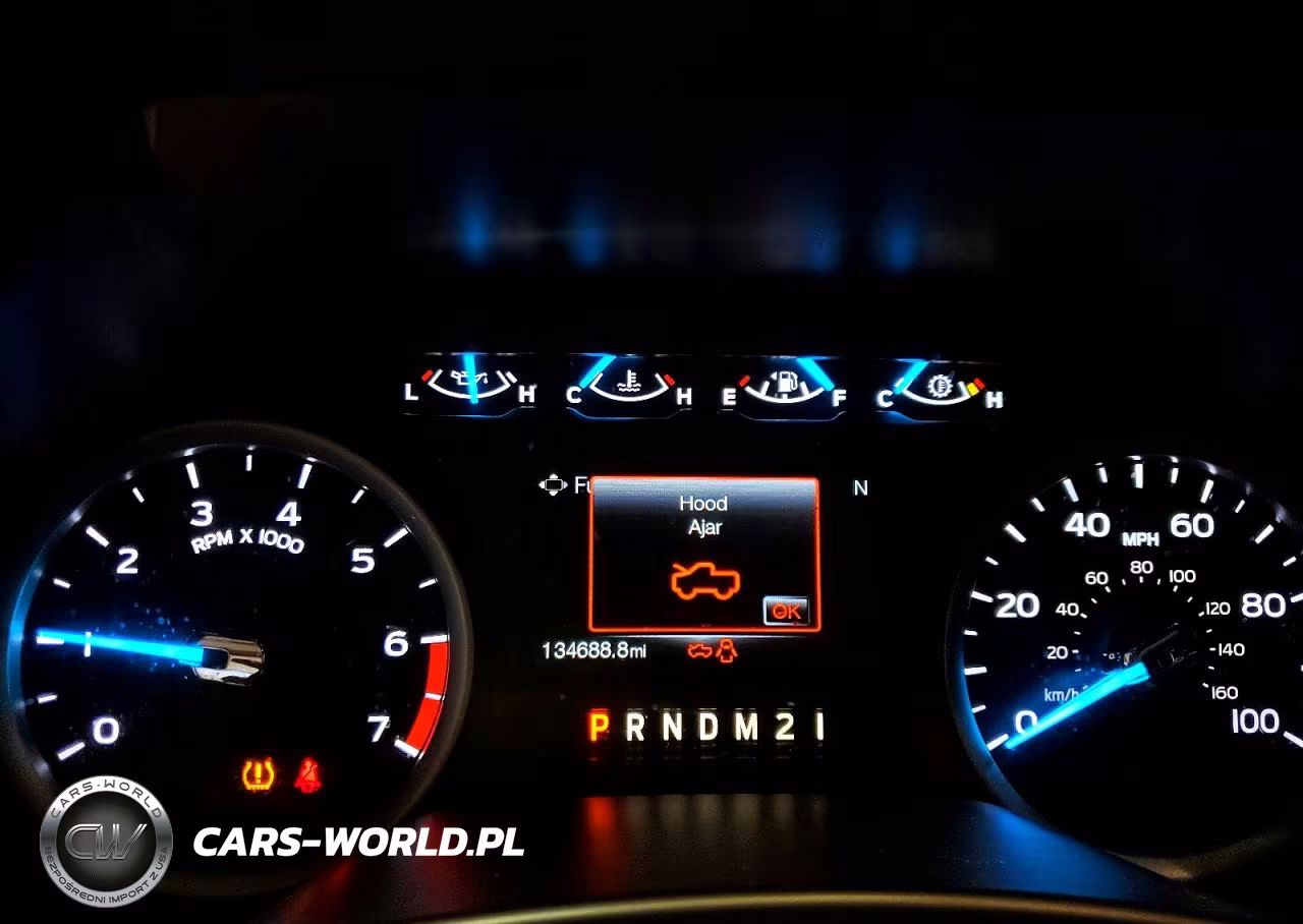 2017 Ford F250 Super Duty VIN:1FT7X2B6XHEE54729 - 9