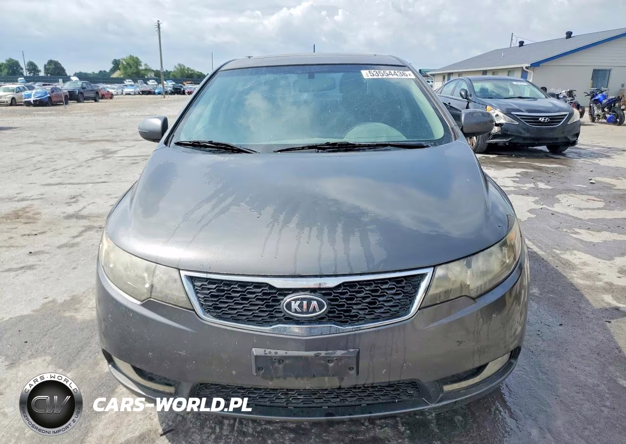 2013 Kia Forte VIN:KNAFW4A31D5687228 - 5