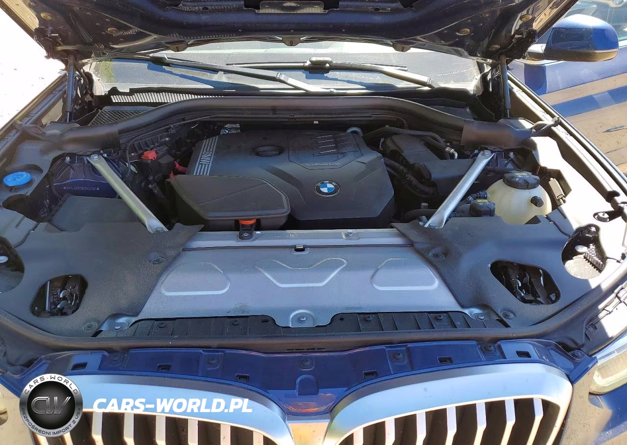 2022 BMW X3 Sdrive30I VIN:5UX43DP08N9H43161 - 12