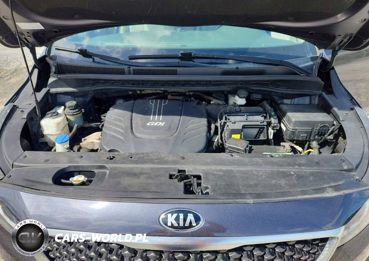 2017 Kia Sedona Lx VIN:KNDMB5C19H6238712 - 12