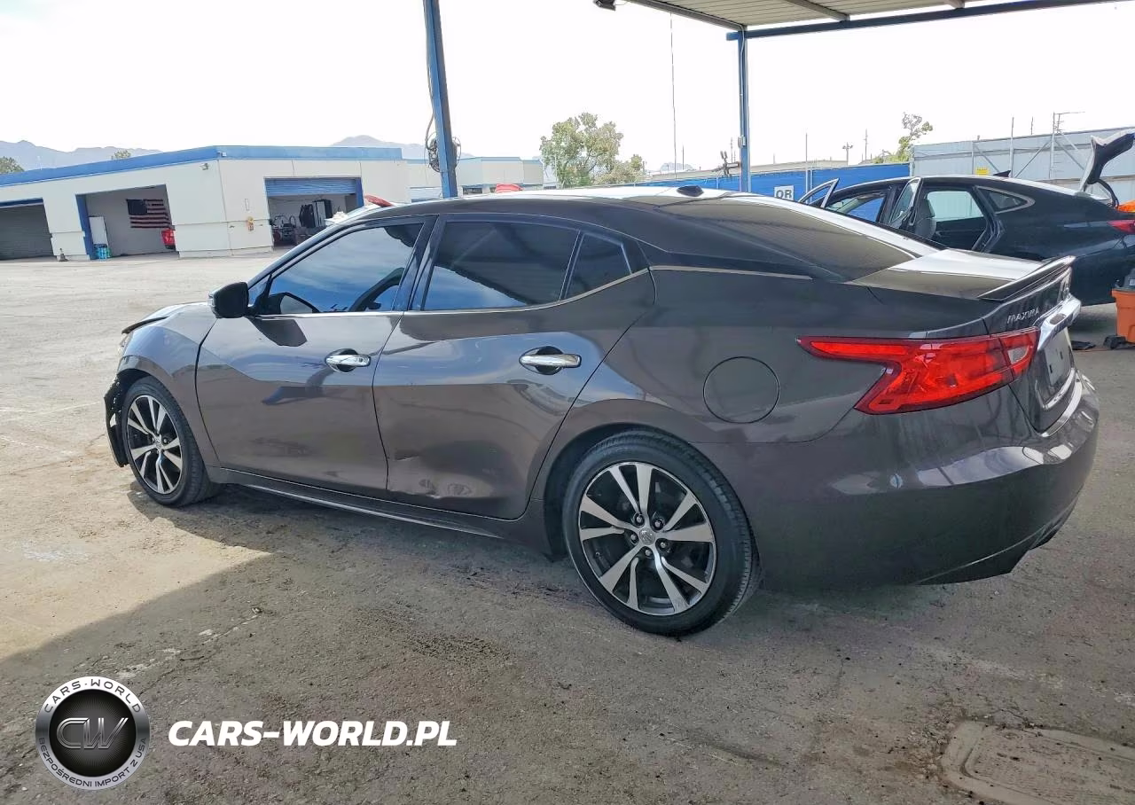 2016 Nissan Maxima Platinum VIN:1N4AA6AP8GC396273 - 2