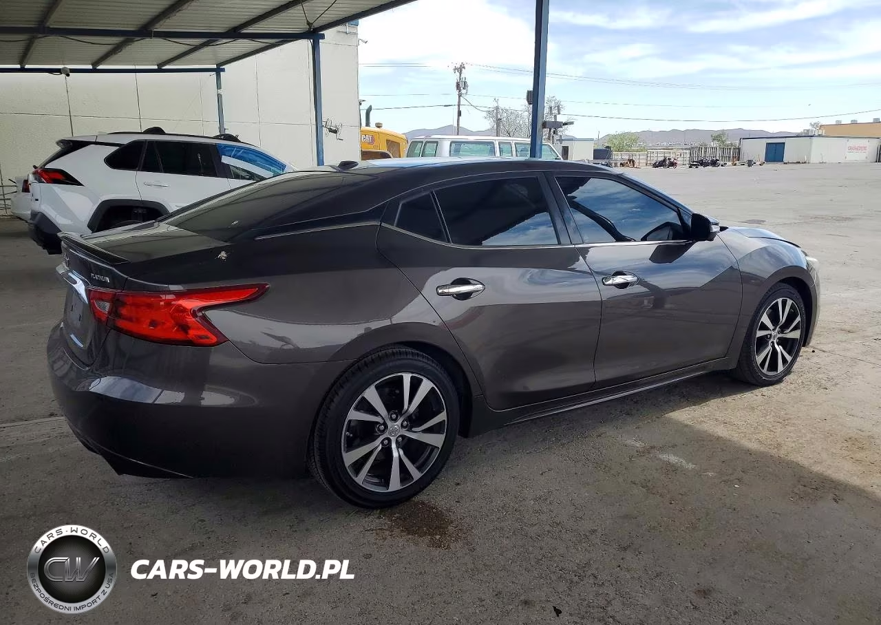 2016 Nissan Maxima Platinum VIN:1N4AA6AP8GC396273 - 3