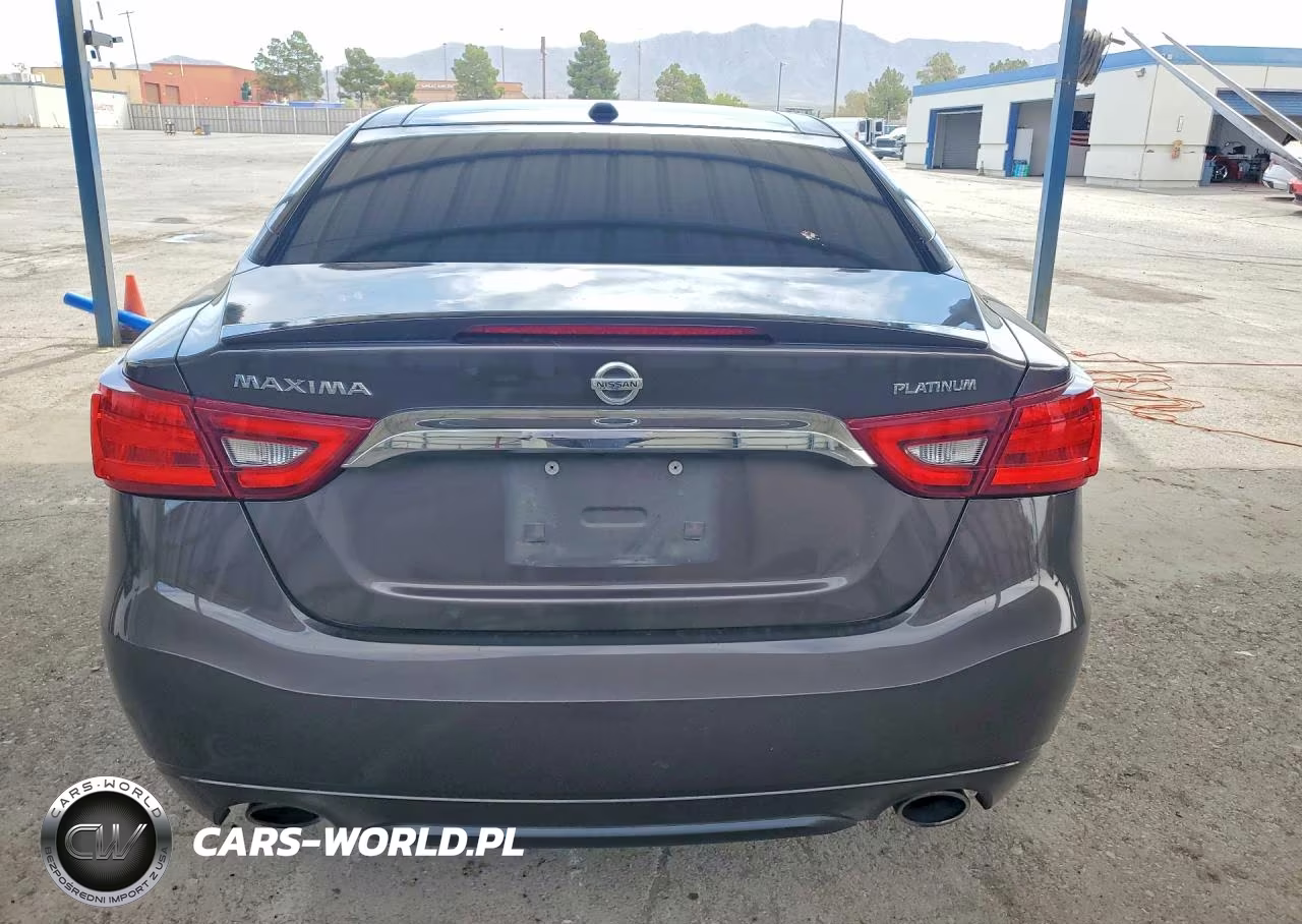 2016 Nissan Maxima Platinum VIN:1N4AA6AP8GC396273 - 6