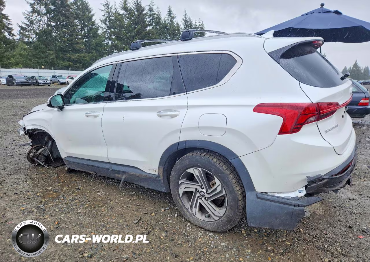 2023 Hyundai Santa Fe Sel VIN:5NMS2DAJ6PH486521 - 2