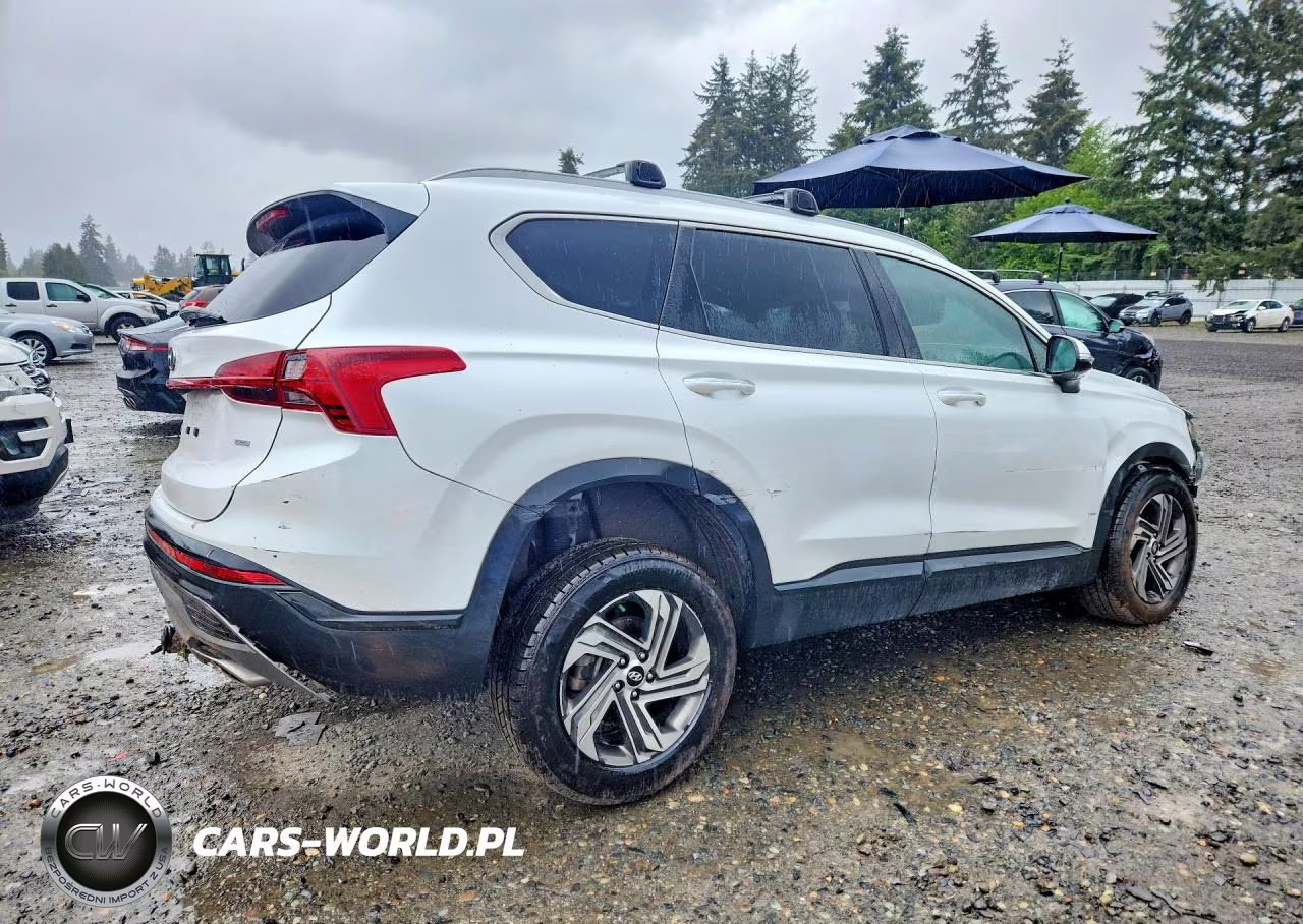 2023 Hyundai Santa Fe Sel VIN:5NMS2DAJ6PH486521 - 3
