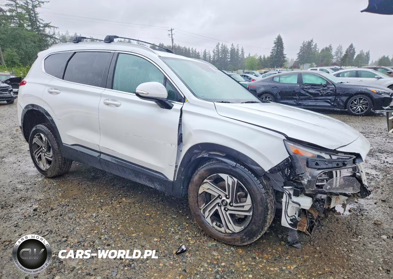 2023 Hyundai Santa Fe Sel VIN:5NMS2DAJ6PH486521 - 4